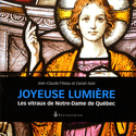 Joyeuse lumière
